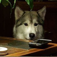 Tina Hiester Photo 3