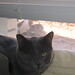 Tammy Justice Photo 9