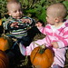 Charlie Gray Photo 8