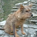 Suzi Stone Photo 9