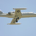 Scott Lear Photo 10