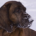 Donna Winter Photo 10
