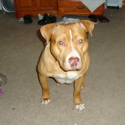 Colby Youngblood Photo 8