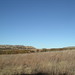 Jay Hileman Photo 8