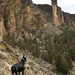 Silas Smith Photo 18