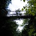 Heather Watkins Photo 18