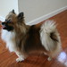 Sue Lathrop Photo 11
