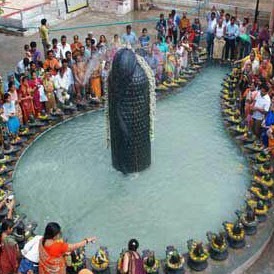 Milind Sharma Photo 13