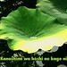 Karen Tam Photo 11