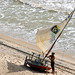 Piedade Vaz Photo 6