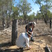 Tony Andrews Photo 13