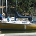 Barney Sparrow Photo 3