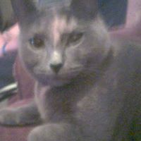 Monty Cook Photo 10