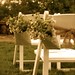 Lindsey Mcintyre Photo 14