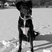 Theodore Dane Photo 6