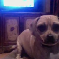 Peter Fusco Photo 21