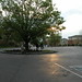 Sandra Krause Photo 14