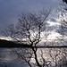 Jon Tunstall Photo 5