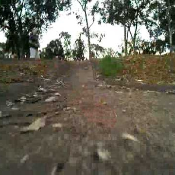 Robert Oller Photo 6