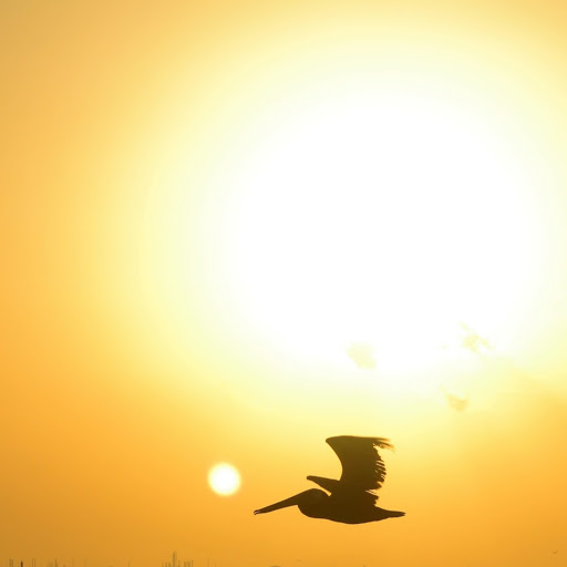 Ming Guo Photo 27