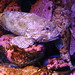 La Long Photo 5