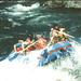 Darrell Robertson Photo 14