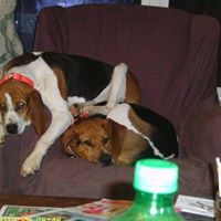 John Burks Photo 27