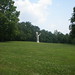 Robert Palms Photo 8