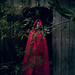 Joann Wood Photo 10