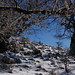 Gennaro Bianco Photo 8