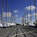 Summer Holland Photo 4
