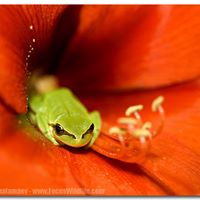 Cari Erickson Photo 8