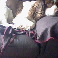 Christine Menzies Photo 11