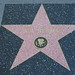 Paul Walk Photo 8