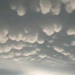 Lee Kern Photo 37