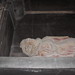 Elizabeth Fitzgerald Photo 13