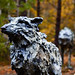 Sally Wolf Photo 7
