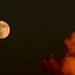 Bruce Luna Photo 1