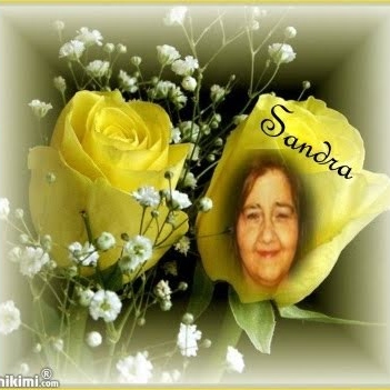Sandy Wilcox Photo 27