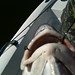 Kelly Trip Photo 7