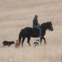 Amanda Meeker Photo 38