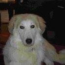Nancy Kassner Photo 2