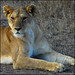 Kenia Leon Photo 9