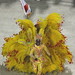 R E Photo 15