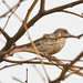 Richard Finch Photo 18