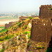 Harish Rai Photo 5