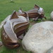 Jeffrey Funk Photo 8
