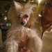 Lisa Rizzo Photo 8