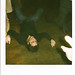 Martin Fout Photo 6
