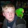 David Mcquillan Photo 34